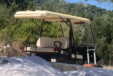 Golf Cart